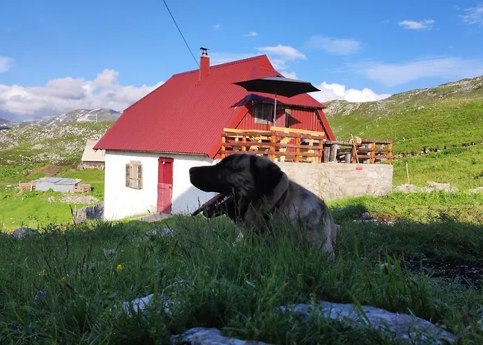 Katun Kuline