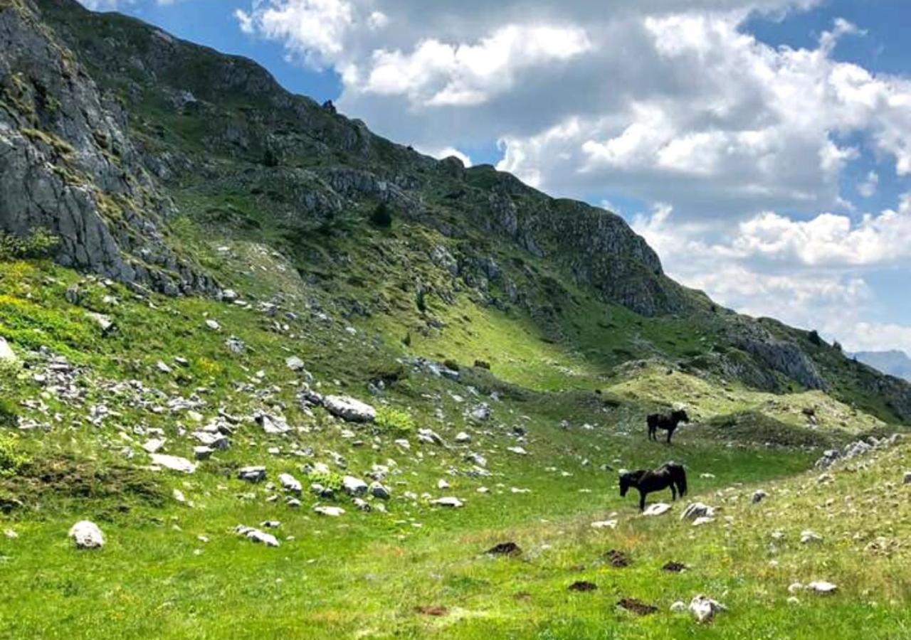 Katun Kuline * Kolasin